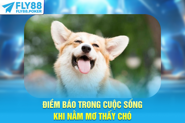 Nằm Mơ Thấy Chó Luận Giải Điềm Báo Và Con Số Tài Lộc 5 Điềm báo trong cuộc sống khi nằm mơ thấy chó