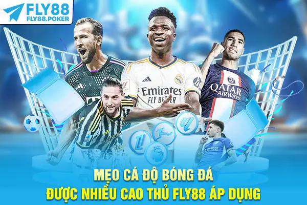 Mẹo cá độ bóng đá được nhiều cao thủ Fly88 áp dụng