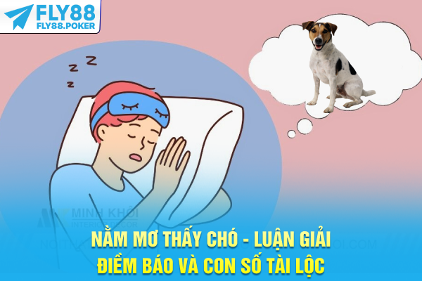 Nằm Mơ Thấy Chó Luận Giải Điềm Báo Và Con Số Tài Lộc 4 Nằm Mơ Thấy Chó Luận Giải Điềm Báo Và Con Số Tài Lộc