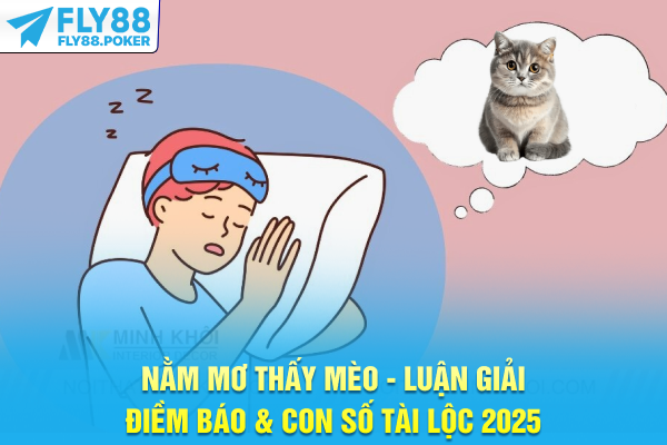 Nằm Mơ Thấy Mèo - Luận Giải Điềm Báo & Con Số Tài Lộc 2025 4 Nằm Mơ Thấy Mèo - Luận Giải Điềm Báo & Con Số Tài Lộc 2025